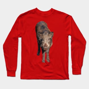 Boar in the forest Long Sleeve T-Shirt